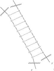 Figure US12338436-20250624-C00426