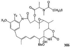 Figure imgf000012_0001