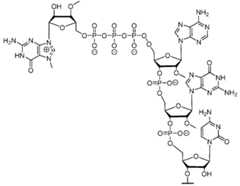 Figure imgf000213_0001