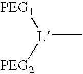 Figure US07872082-20110118-C00010