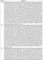 Figure BDA0003627552160002291