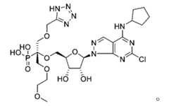 Figure 109137697-A0305-02-0144-5