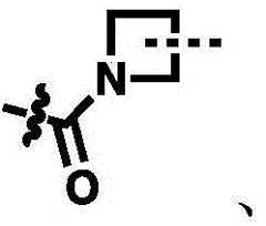 Figure BDA00029640981000001022