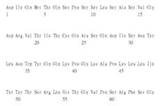 Figure 106103580-A0305-02-0245-134