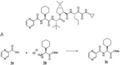 Figure imgf000431_0001