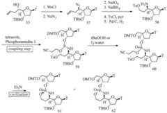 Figure imgf000072_0001