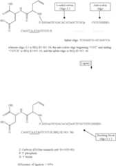 Figure US08206901-20120626-C00062