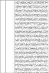 Figure imgf000052_0001