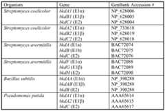 Figure imgf000053_0001