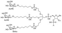 Figure 2023113843000479