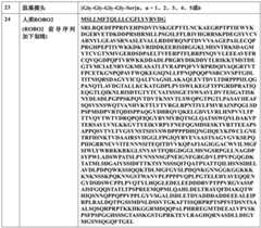 Figure BDA0002298305510000961