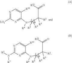 Figure US08592577-20131126-C00006