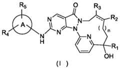 Figure PCTCN2019113622-APPB-100001