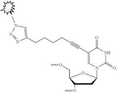Figure US11613772-20230328-C00014