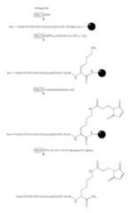 Figure US06706892-20040316-C00089