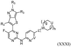 Figure imgf000031_0001