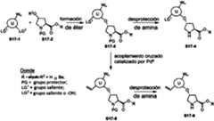 Figure imgf000029_0001