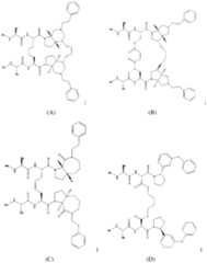 Figure imgf000031_0001