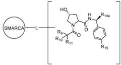 Figure imgf000394_0001