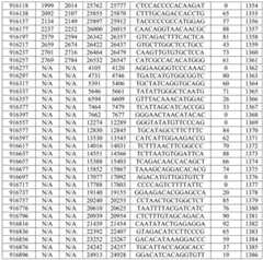 Figure BDA0002976854330001361