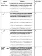 Figure imgf000070_0001