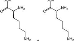 Figure imgf000054_0002