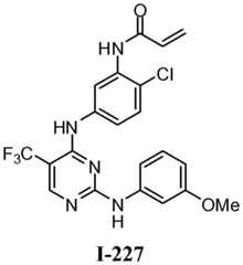 Figure BDA0001453135130003111
