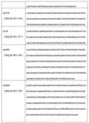 Figure 108128641-A0202-12-0207-906