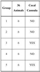 Figure imgf000641_0001