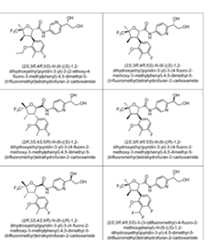 Figure imgf000026_0001