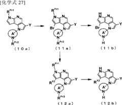 Figure BPA00001446920500332