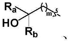 Figure BDA0002170659700000051