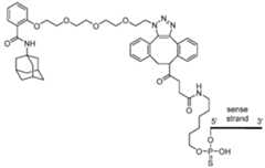 Figure imgf000294_0001