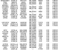 Figure 112018088977530-pat00344