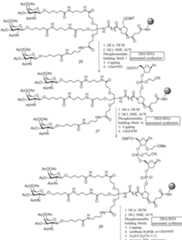 Figure imgf000164_0001
