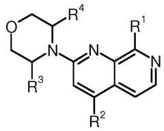 Figure imgf000016_0001