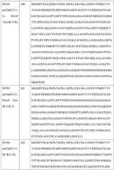 Figure BDA0004113681710001821