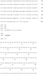 Figure IDA0002581779080000941