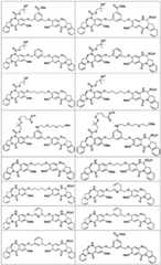 Figure BDA0003285627320000761