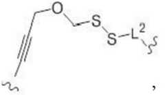 Figure BDA0003670511740003662