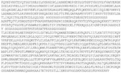 Figure BDA0003873639730000761