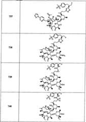 Figure A20058001353203571