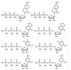 Figure imgf000048_0001