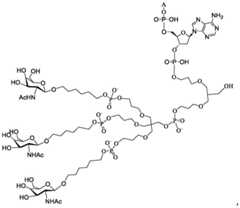 Figure BDA0003357312860001911