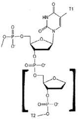 Figure imgf000347_0001