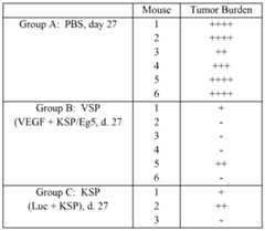 Figure imgf000129_0001