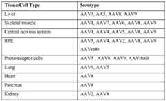 Figure imgf000088_0001