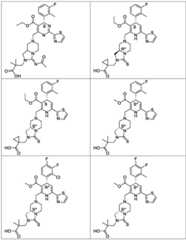 Figure BDA0003122494520000191