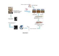 Figure 102021018527-9-abs