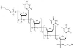 Figure imgf000195_0002